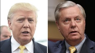 Lindsey Graham weighs in on invoking 25th Amendment against President Trump