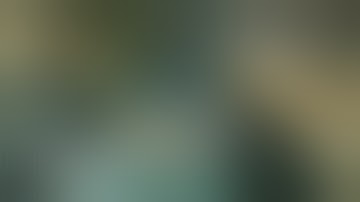 Derp Company - Jou Drops the Pilot