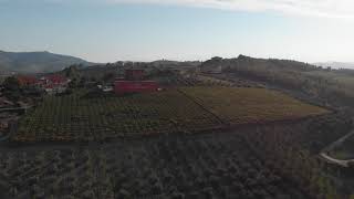 Azienda Agricola Centorame - Il Territorio