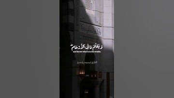 ما تيسر من سورة الأعراف❤️‍🩹 #quran #قرآن #قران #اكسبلور #قران_كريم #محمود_رشدى #explore