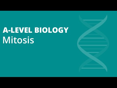 A level biology coursework ocr