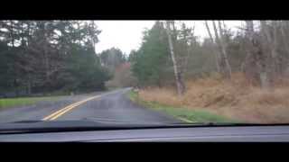 Journey to Elk Cove - James Melendez