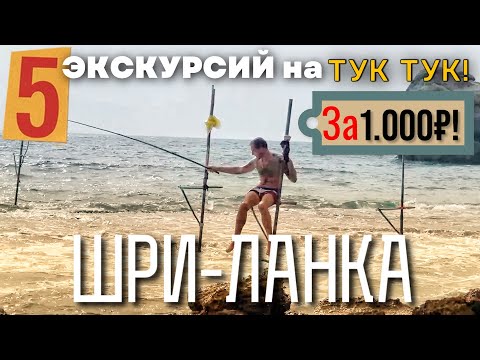 Шри-Ланка 2023 5 ЭКСКУРСИЙ ЗА 1 ДЕНЬ на ТУК ТУК! Сад специй | Рыбалка | Черепашья ферма