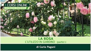 Trailer corso: La rosa:  l'utilizzo in giardino (parte 1)