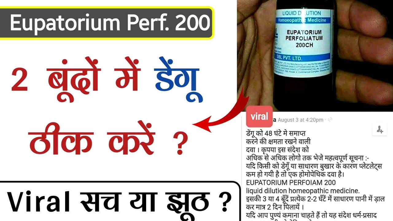 Eupatorium perfoliatum 200 uses in hindi Homeopathic Medicine for