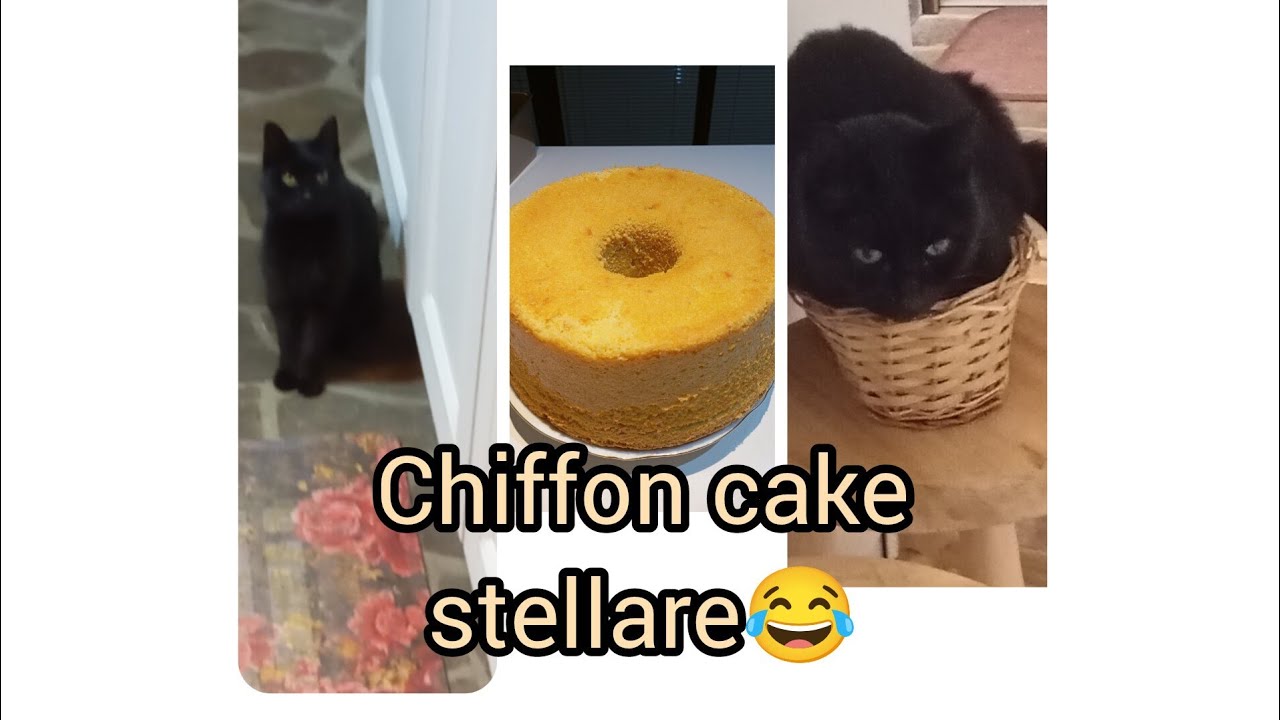 chiffon cake facilissima: si-può-fare !!!