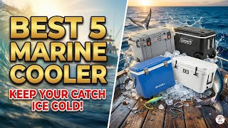 Top 5 Best Marine Coolers 2026 🧊 Best Cooler for Fishing & Boating (Reviewed!)