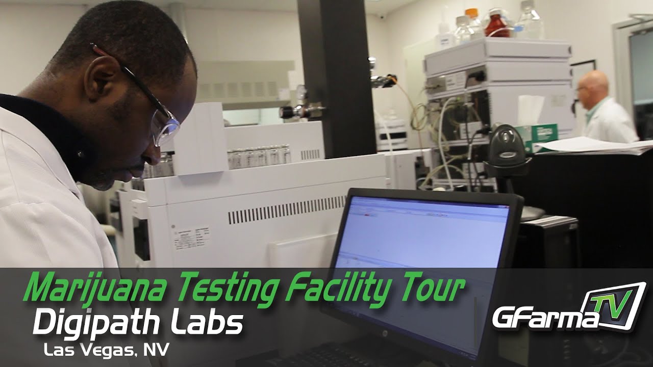 gfarmatv-visits-digipath-labs-in-las-vegas-nv-cannabis-testing
