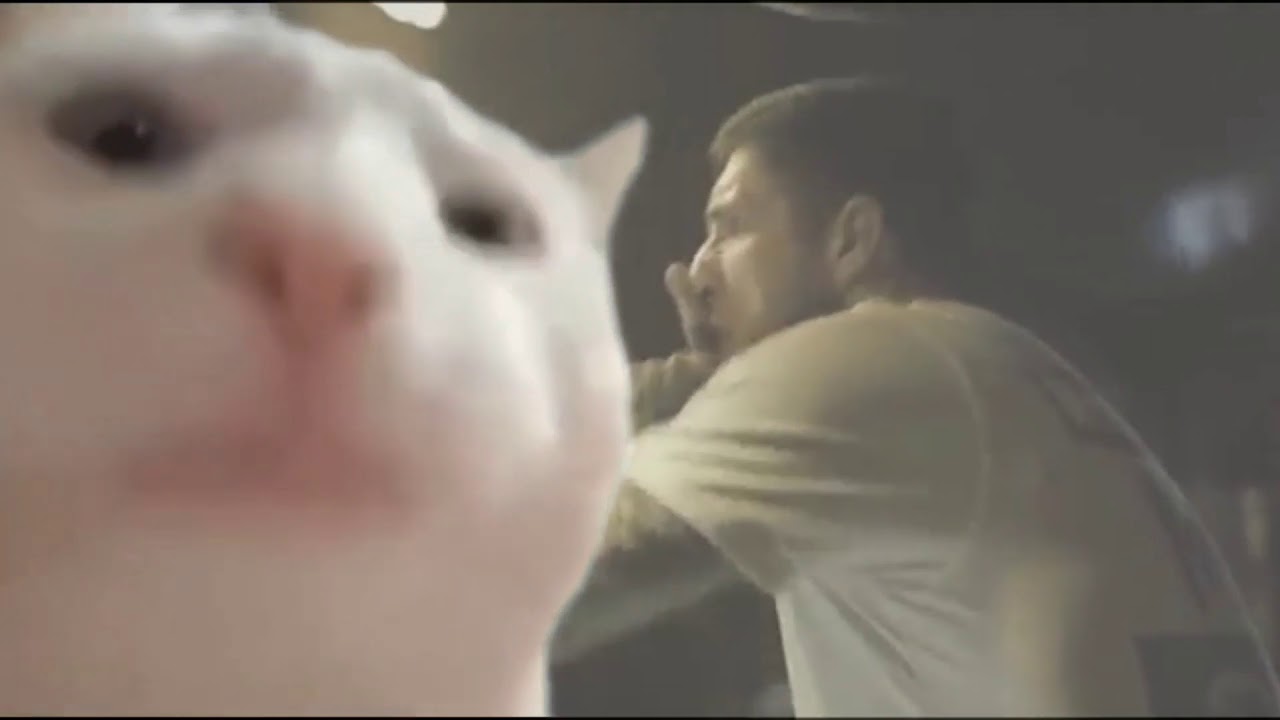 Cat Vibing to Death Metal