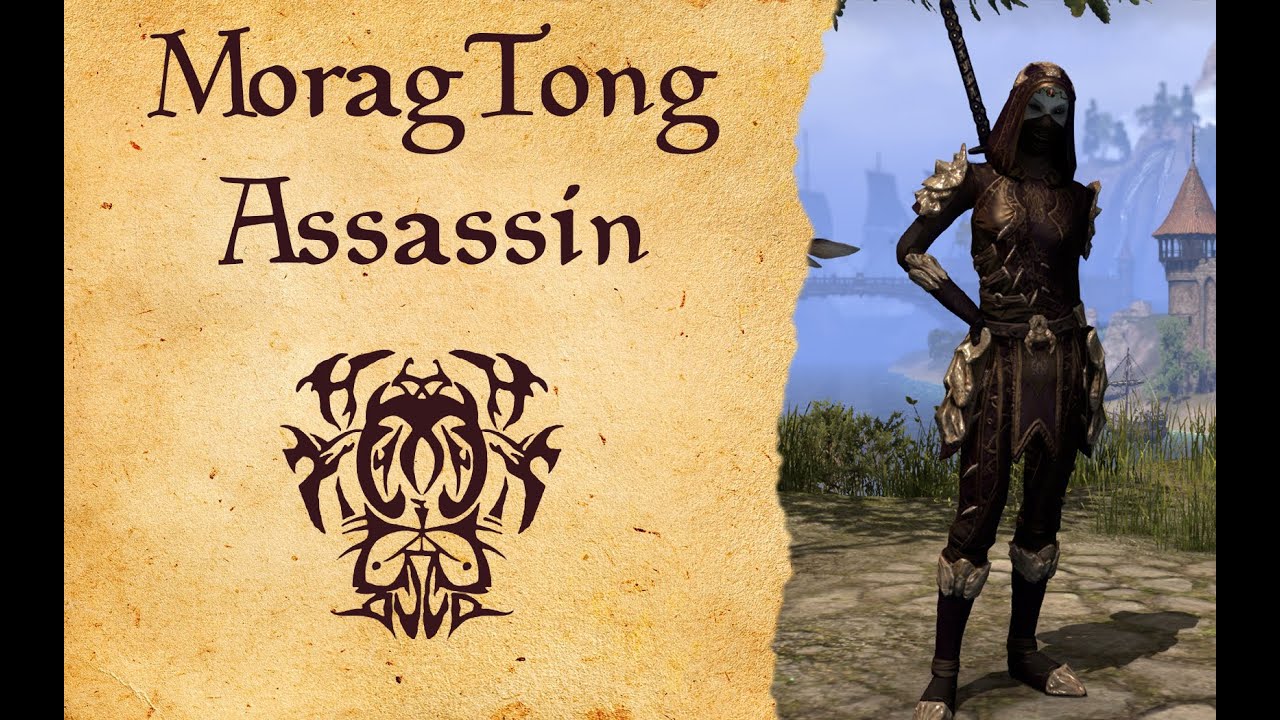 ESO Stamina Nightblade RP PVE Build Morag Tong Assassin YouTube