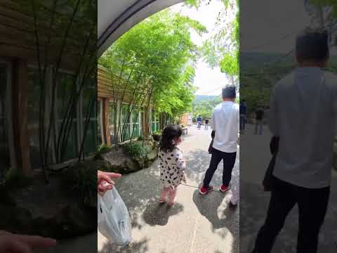 Familyvlog Chloe Wanted To Try Filming So We Let Her 