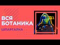 Вся ботаника за 30 минут — Шпаргалк