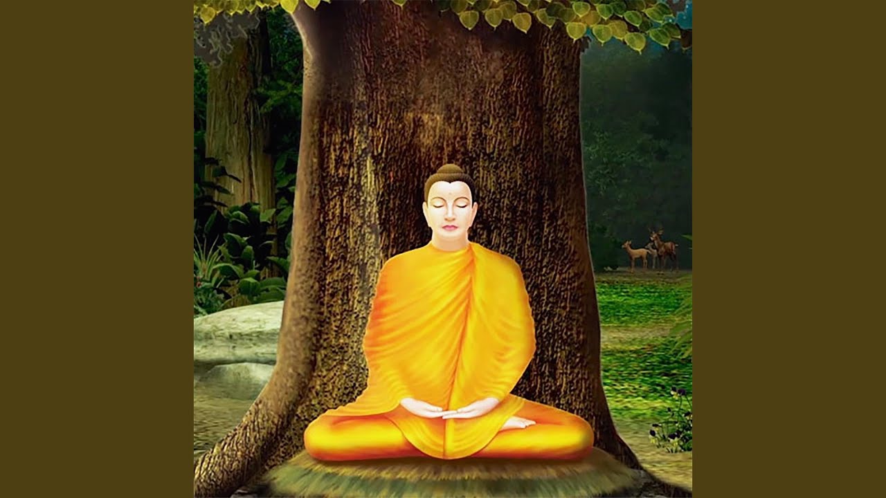 Obejrzyj The Solution w YouTube Obejrzyj The Solution w YouTube