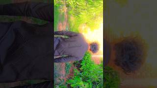 Saban mere #shorts #viral #youtube #ytshorts #love #feel #song #trending