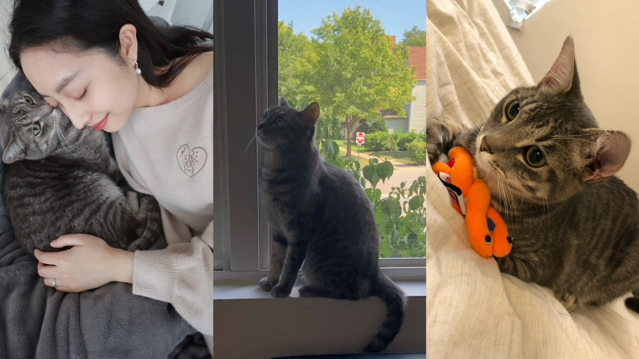 thank you for growing up with us, Bobie 縮圖