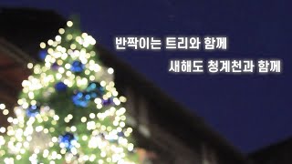 청계천 판잣집 크리스마스 트리 제작기!썸네일