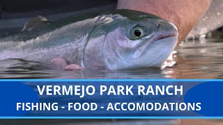 Huge Rainbow Trout & More...