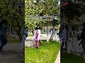 Life in Kyrgyzstan mbbs |don’t ask again😩| #trend #youtubeshorts #problem #withoutfamily #dontaskme