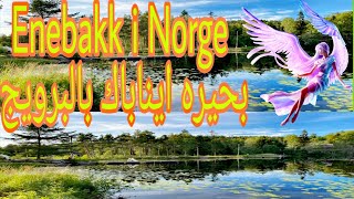 بحيره ايناباك بالنرويج(Enebakk i Norge(1