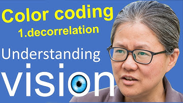 Understanding vision book:  Chap 3, Efficient coding, 22.1: color coding, part 1,decorrelation