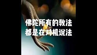 201506 佛陀所有的教法都是在对机说法21909