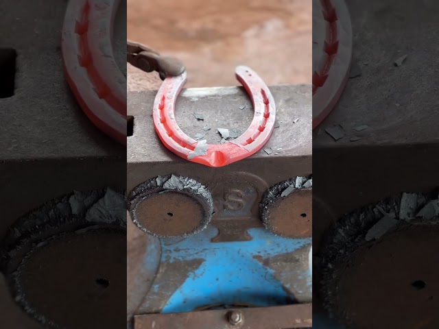 #farrier #horse #farrierlife #satisfying #horsecare #horsemanship #horselife #asmr