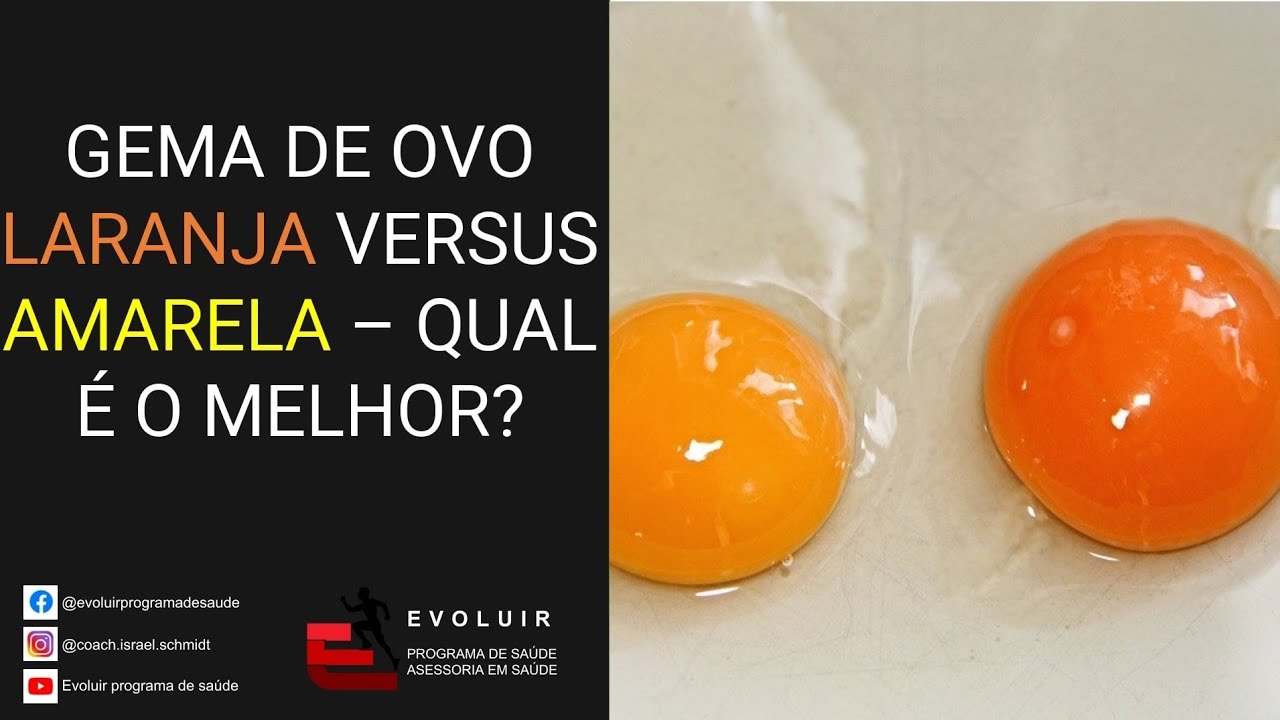 Gema de ovo laranja versus amarela qual é o melhor? qual gema de ovo comer? YouTube Gema de ovo laranja versus amarela qual é o melhor? qual gema de ovo comer? YouTube