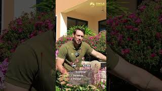 Gartenmauer Mit Rinn Betonstein Smile Aussenanlagen. Rhein-Main