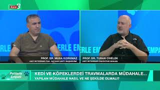 Patilerle Empati (Kanal 3)