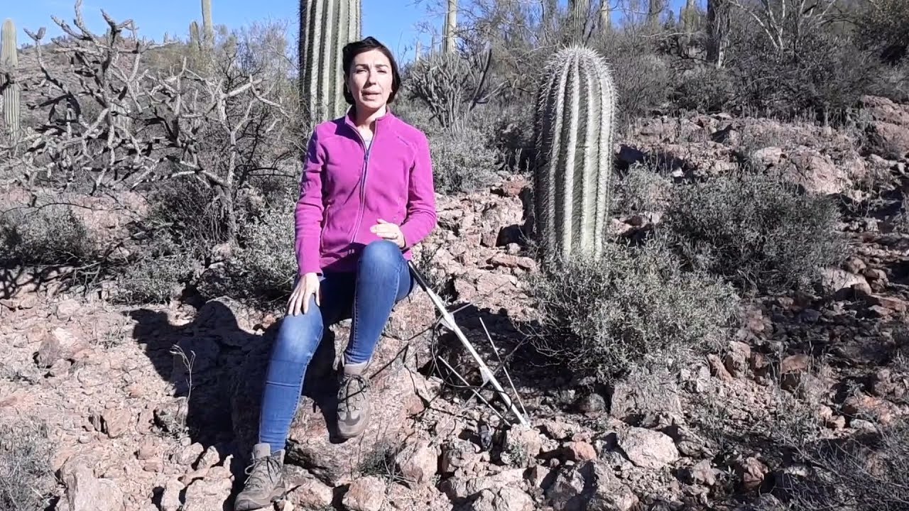 Maria Vittoria Mazzamuto Dall insubria All Arizona YouTube maria-vittoria-mazzamuto-dall-insubria-all-arizona-youtube