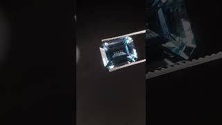 Seewatch Vous Souhaite De Merveilleuses Fêtes