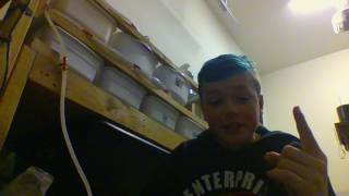 Rat Genes and first video
