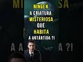 Ningem A Criatura Misteriosa Que Habita A Antártida ?!