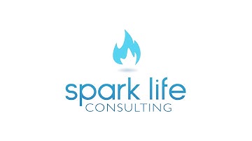 Spark Life Consulting - Cloud 9 show - Networking event - produced by Intuit Media Group