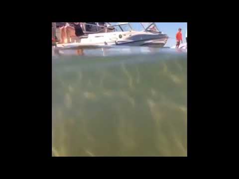 Chris Fairbanks - video clips from phone