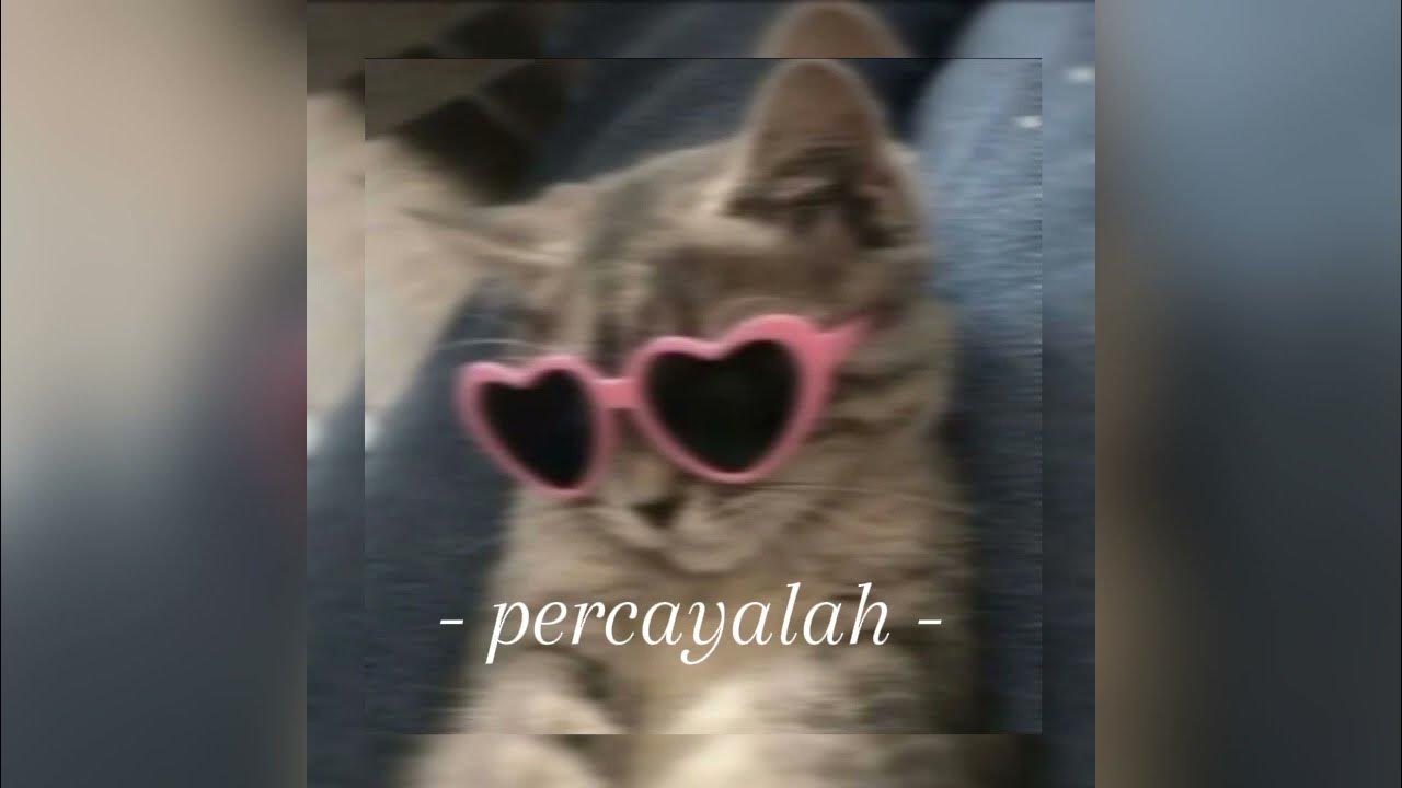 - percayalah - afgan & raisa ( speed up reverb underwater ) versi tiktok - percayalah - afgan & raisa ( speed up reverb underwater ) versi tiktok
