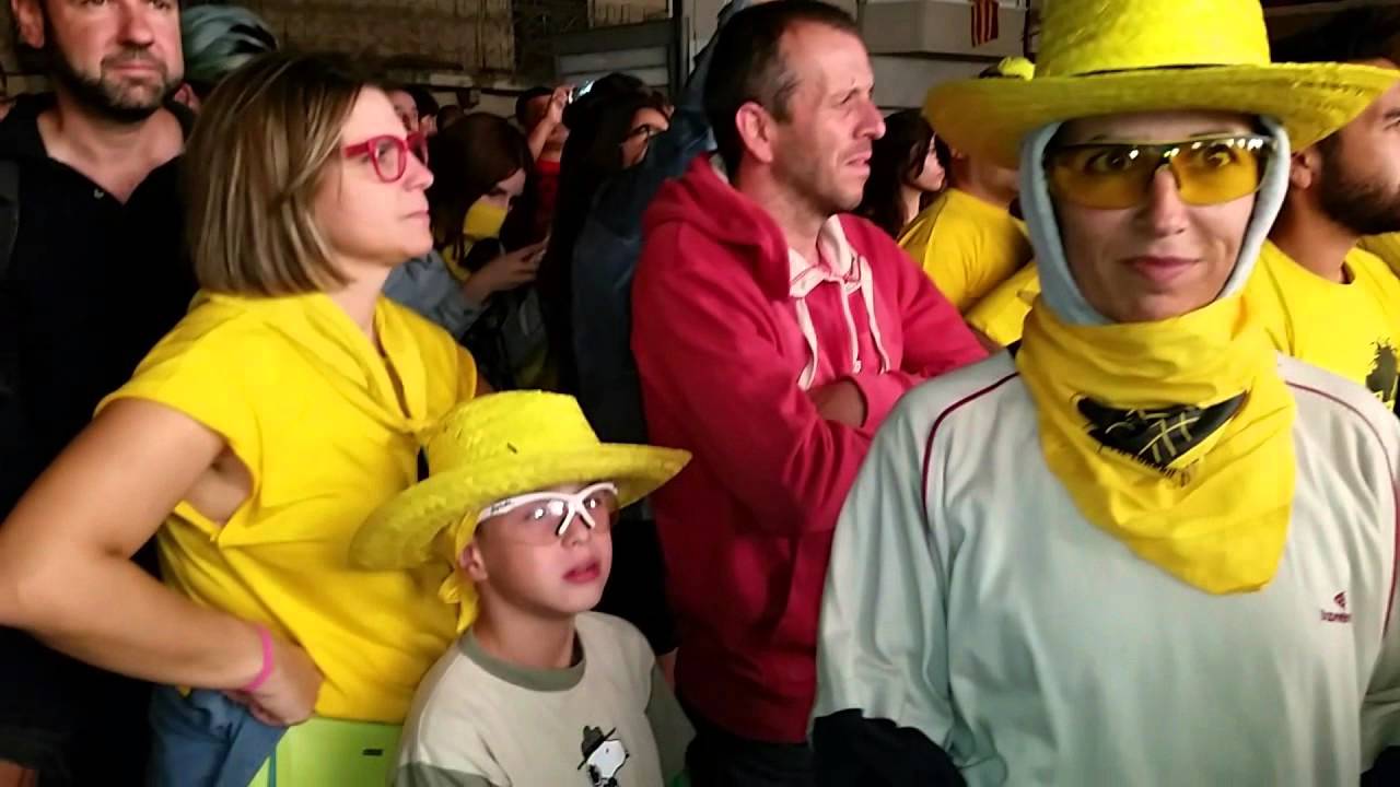 FIL.LOXERA 2015 SANT SADURNI D'ANOIA