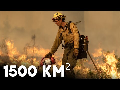 Огонь уничтожает парк в Северной Калифорнии