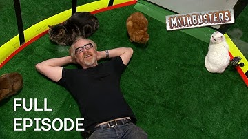 Is It Possible To Heard Cats? | MythBusters | Season 9 Episode 21 | Full Episode