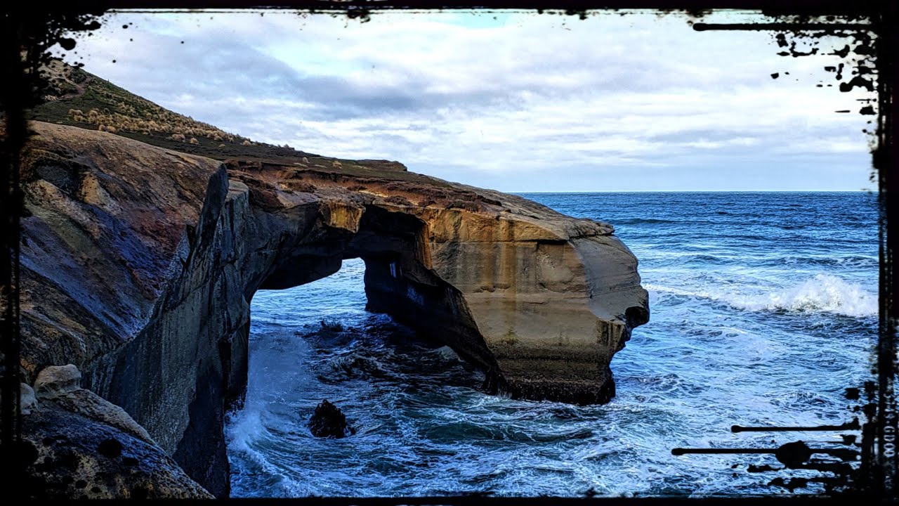 5 BEST Sea Cave Beaches of Dunedin 🇳🇿 New Zealand