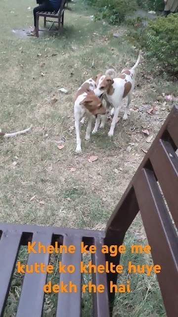 neha ko holi me choda khelte huye