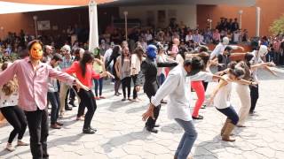 Flashmob: Thriller