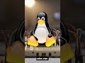 📌 Linux Çekirdeğinde 9 Yıllık Dev Güvenlik Açığı: