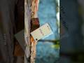 Motorola Edge  #smartphone #cinematic #prvzcine #shorts  #Motorolaedge