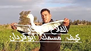 صيد طائر ابو قردان بالأيدي ( 2)
