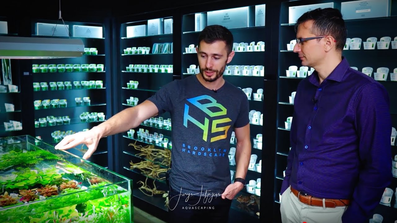 Why we quit our jobs to aquascape fulltime! YouTube