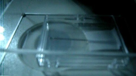 THE KEY TO PARADISE/BIACS 3, SEVILLA