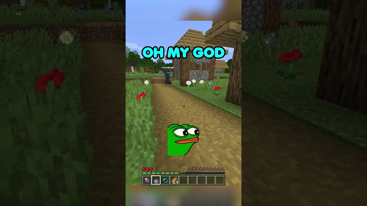 He THOUGHT Found Me Shorts Minecraftshorts