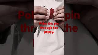 How to wear your POPPY the MILITARY way #military  #remembranceday