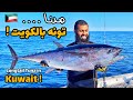 صدنا التونه بالكويت ! #جديد 2020 Spearfishing